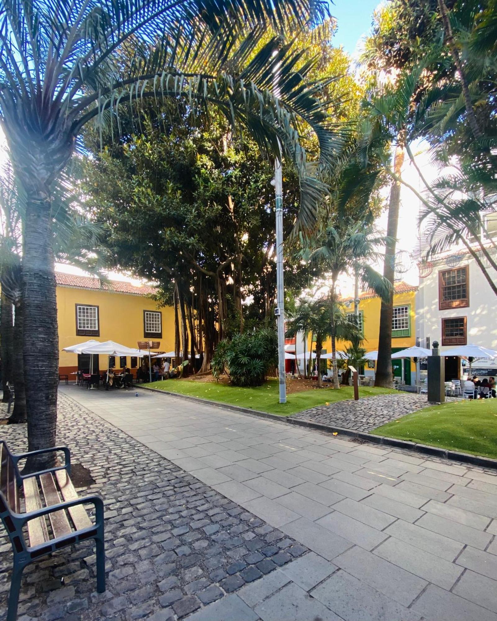 Macaronesia Home Santa Cruz de Tenerife Luaran gambar